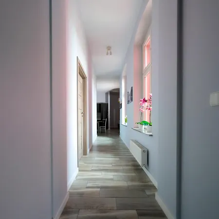 Glowny Comfort By Bookinghost *